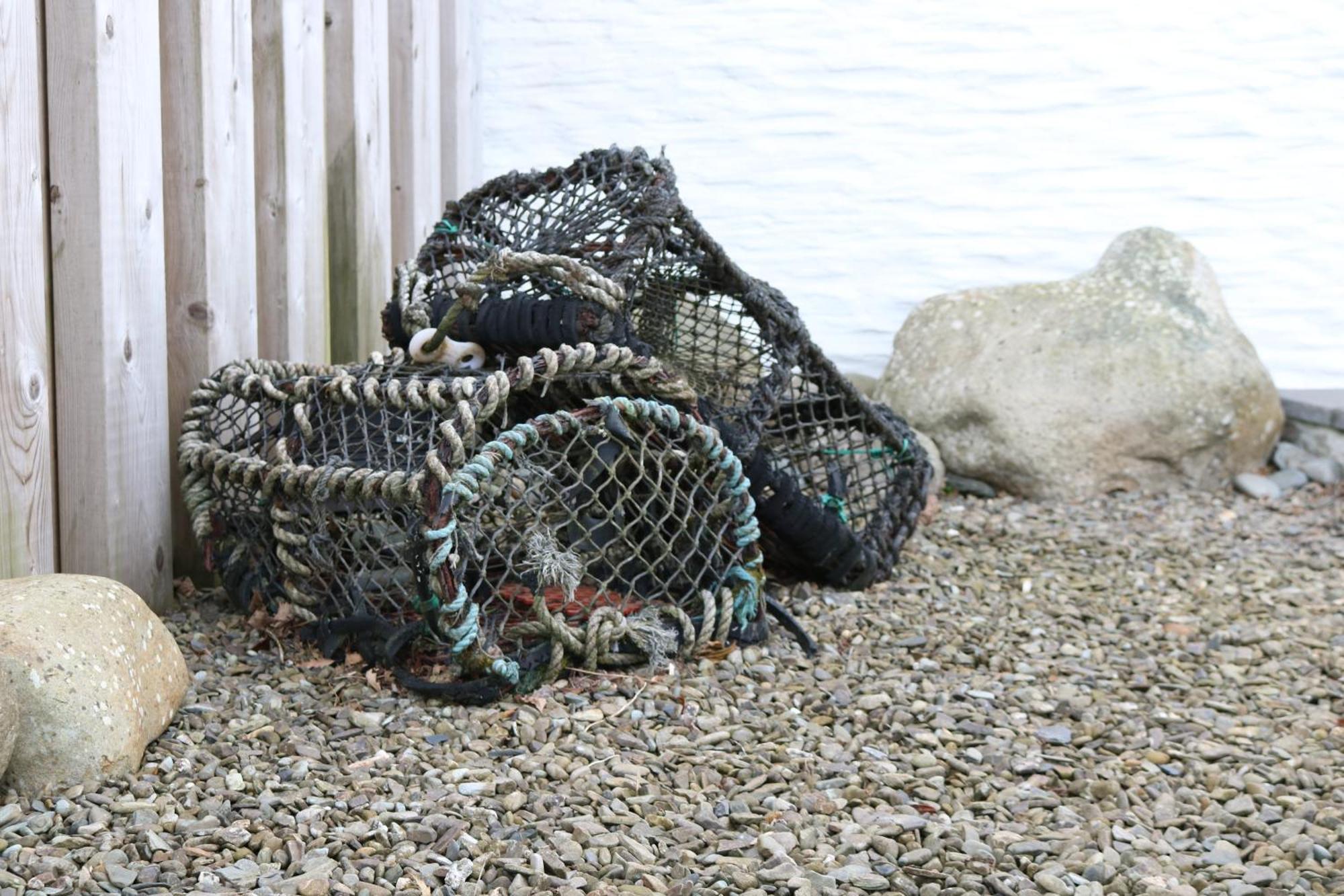 Penlan Coastal Cottages - Cornerstone Aberporth Esterno foto
